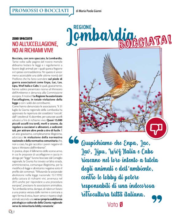 pag 22