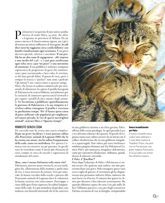 pag 23