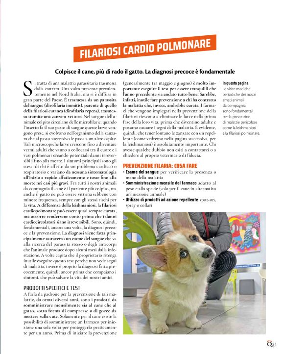 pag 21