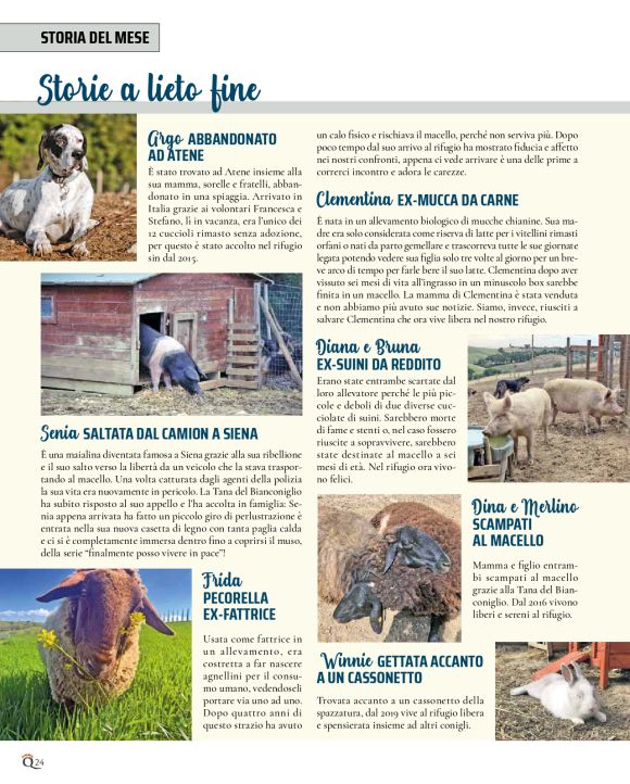 pag 24