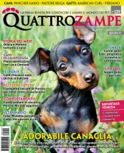 quattrozampe