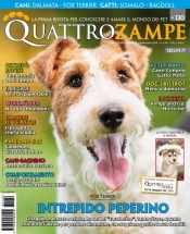 quattrozampe