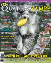 quattrozampe