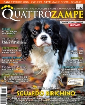 quattrozampe