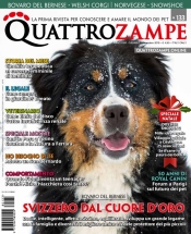 quattrozampe