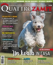 quattrozampe