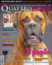 quattrozampe