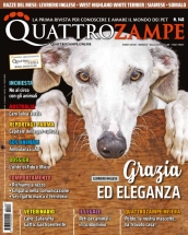 quattrozampe