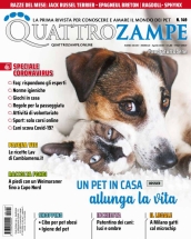 quattrozampe