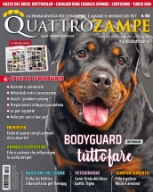 quattrozampe