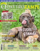 quattrozampe