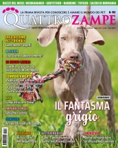 quattrozampe