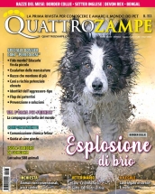 quattrozampe
