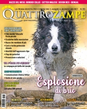 quattrozampe