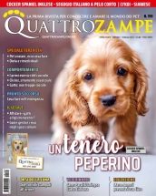 quattrozampe