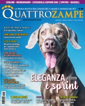 quattrozampe