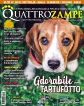 quattrozampe