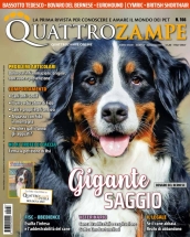 quattrozampe