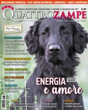 quattrozampe