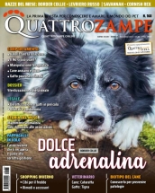 quattrozampe