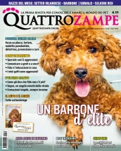 quattrozampe