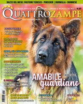 quattrozampe