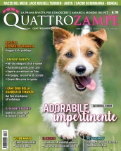 quattrozampe