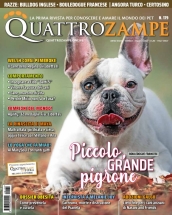 quattrozampe