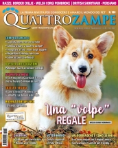 quattrozampe