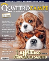 quattrozampe