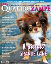 quattrozampe