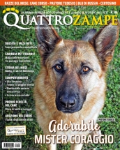 quattrozampe