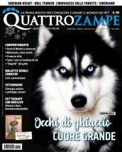 quattrozampe