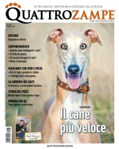 quattrozampe