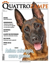 quattrozampe