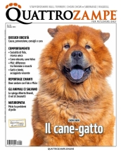 quattrozampe